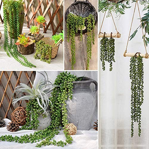 Artificial Succulent Plants 2PCS 13.4 Inch Hanging Faux String of Pearls Decor