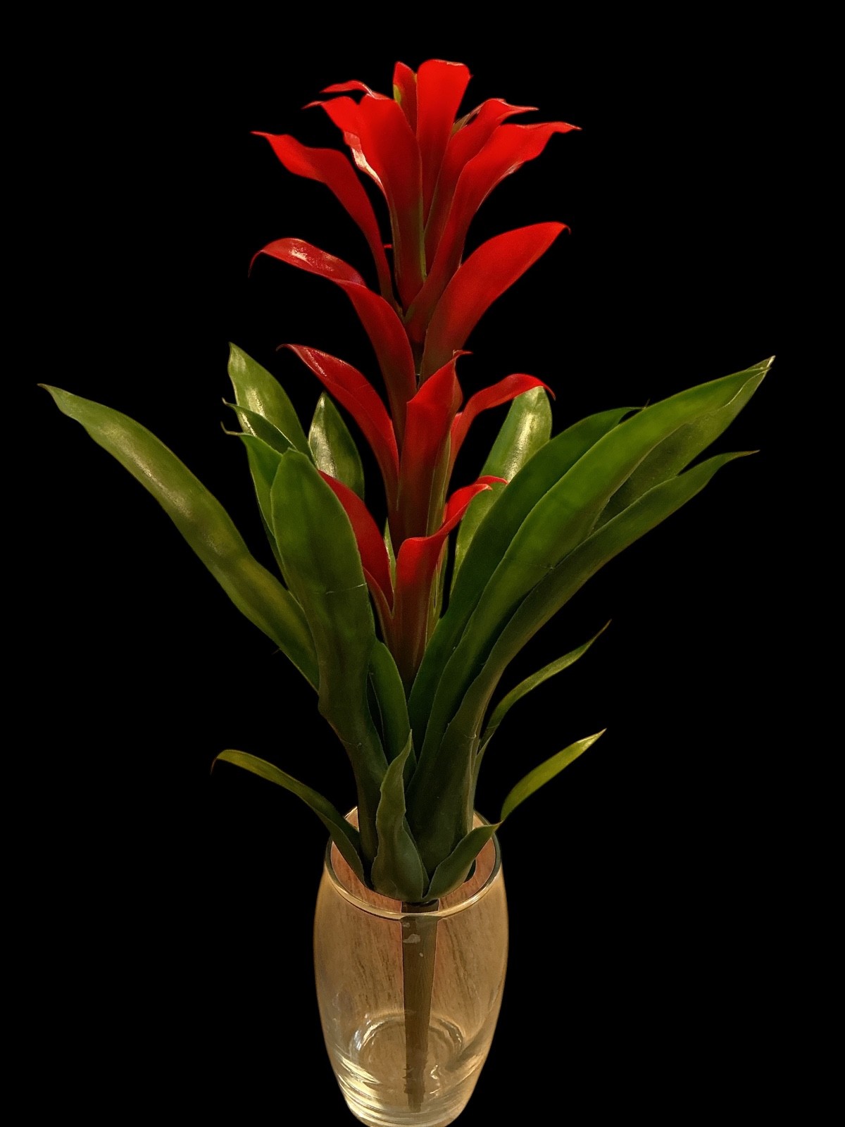 10” Bromeliad faux Flower Stems Red Green Leaves Natural Set Of 4