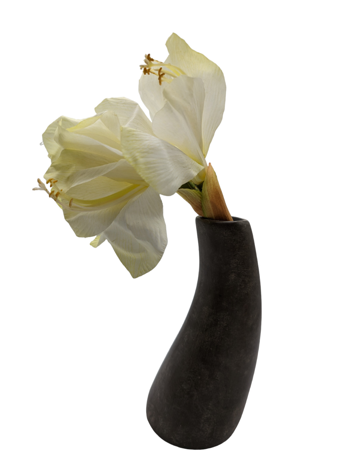 Rare Pier 1 Imports Ceramic Curved Potted Amaryllis Flower Home Decor 13 in