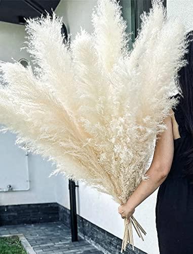 10 Stems 46″ inch White Pampas Grass Decor Tall, Large Pompas Grass, Boho