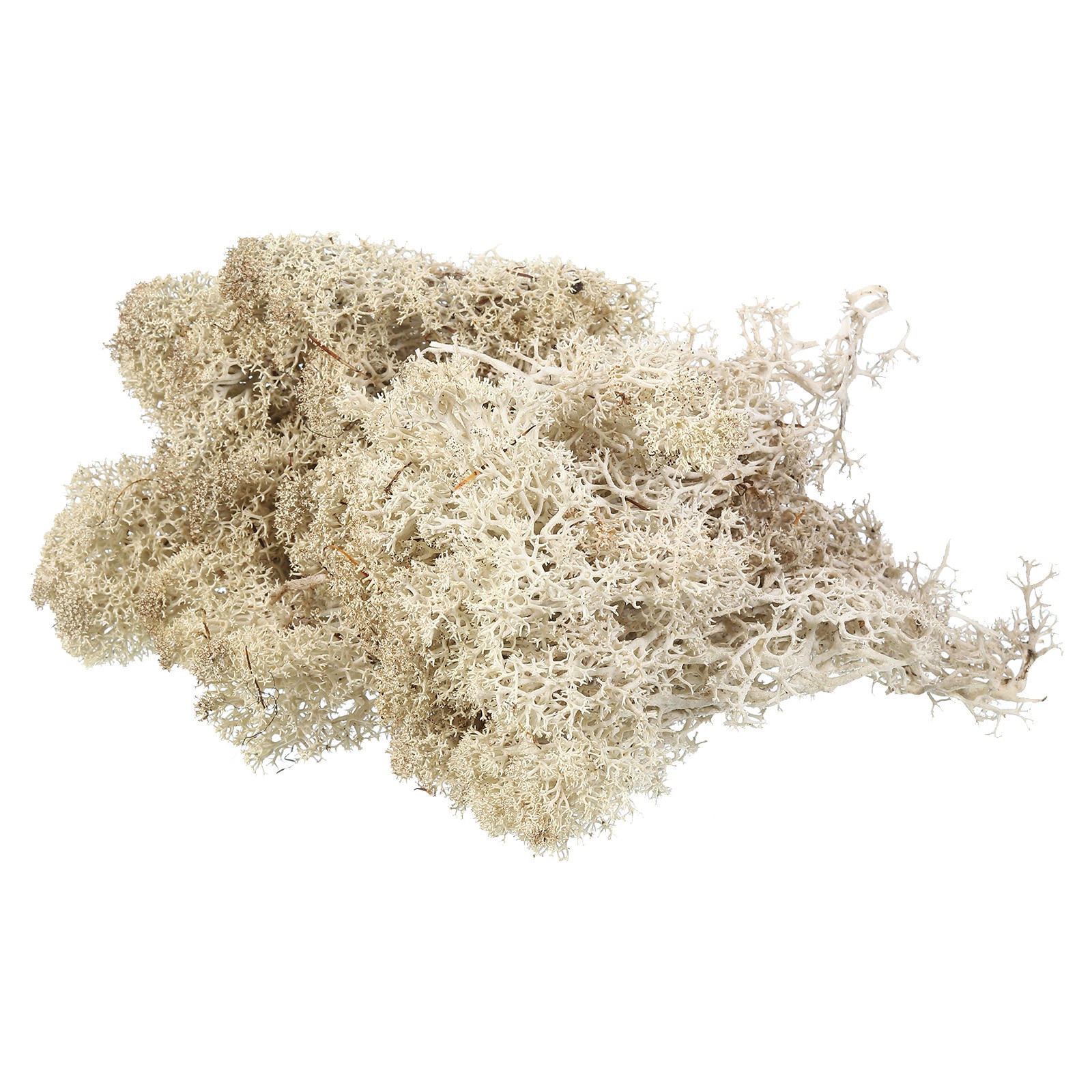 3.5OZ Moss Preserved Moss Artificial Moss for Craft Floral Natural Colour