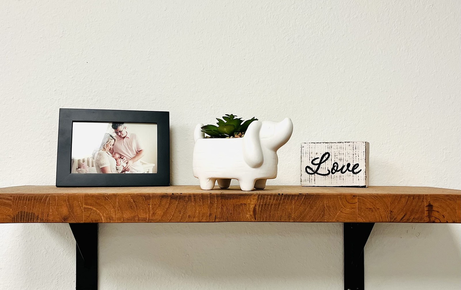 4.3″ H Succulent in Dog White Ceramic Planter, Modern and Simple Stylish Desi…