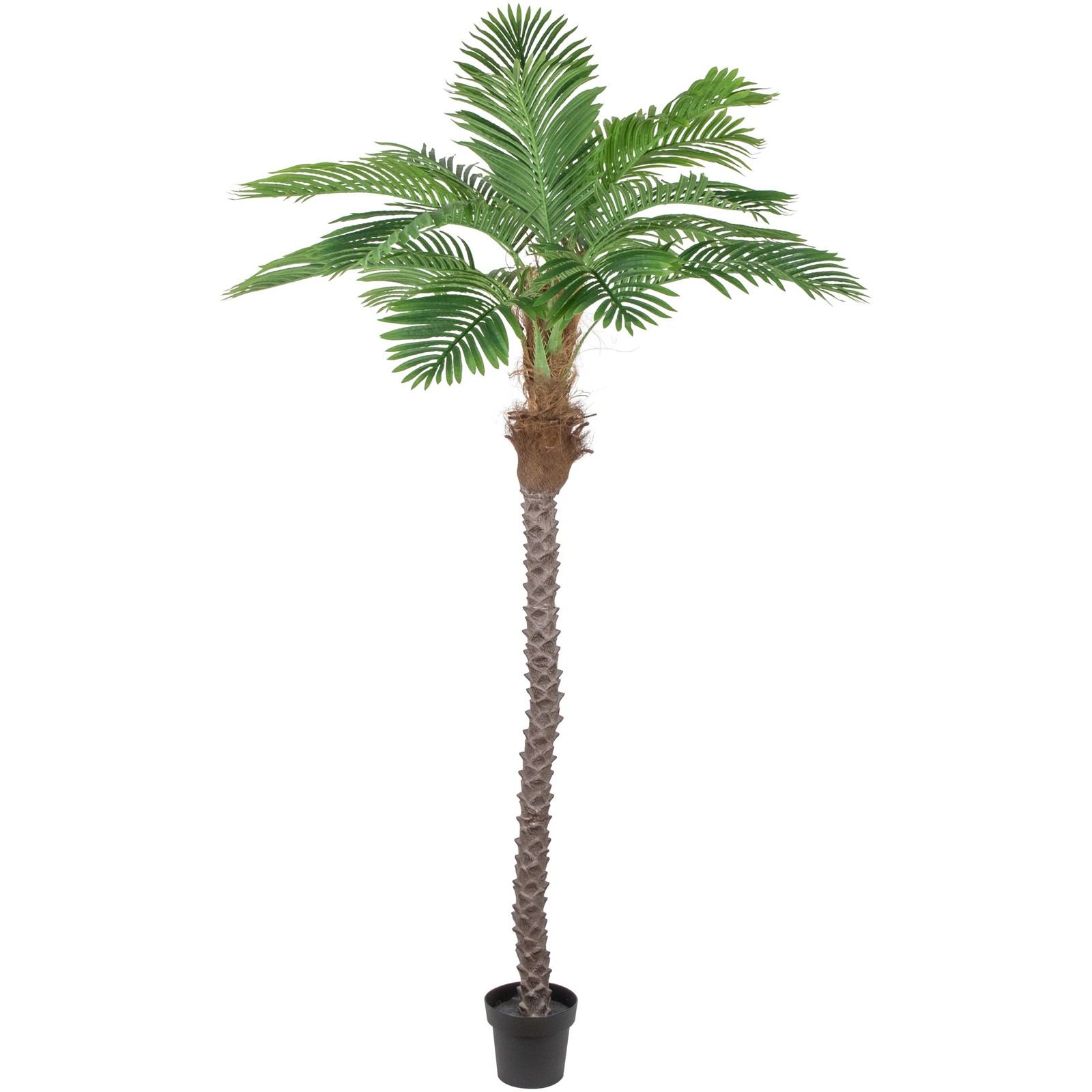 Northlight 7.25 Potted Artificial Green and Brown Phoenix Palm Tree