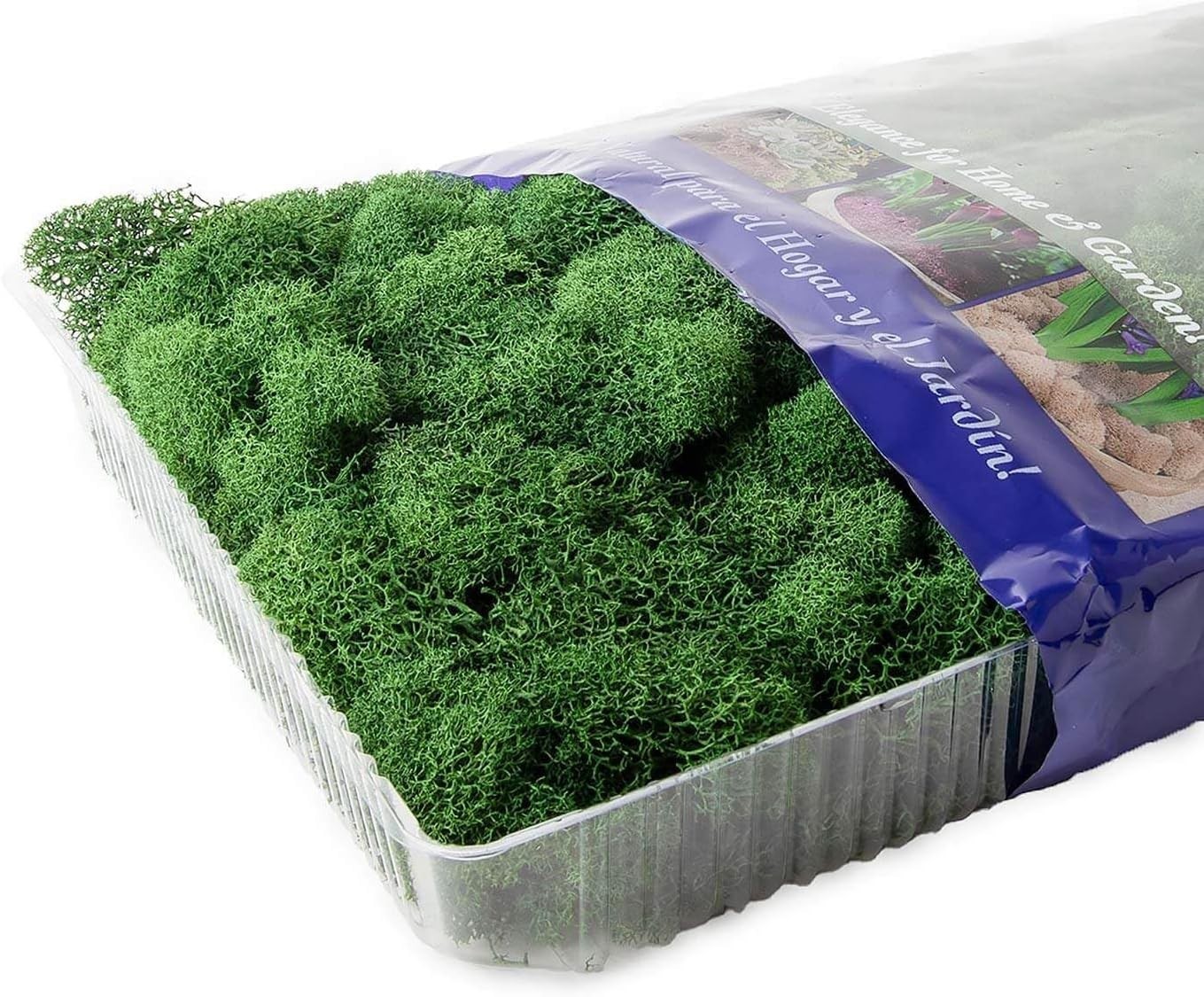 Long-Lasting 8oz Preserved Reindeer Moss for Elegant Flower Arrangement Accents