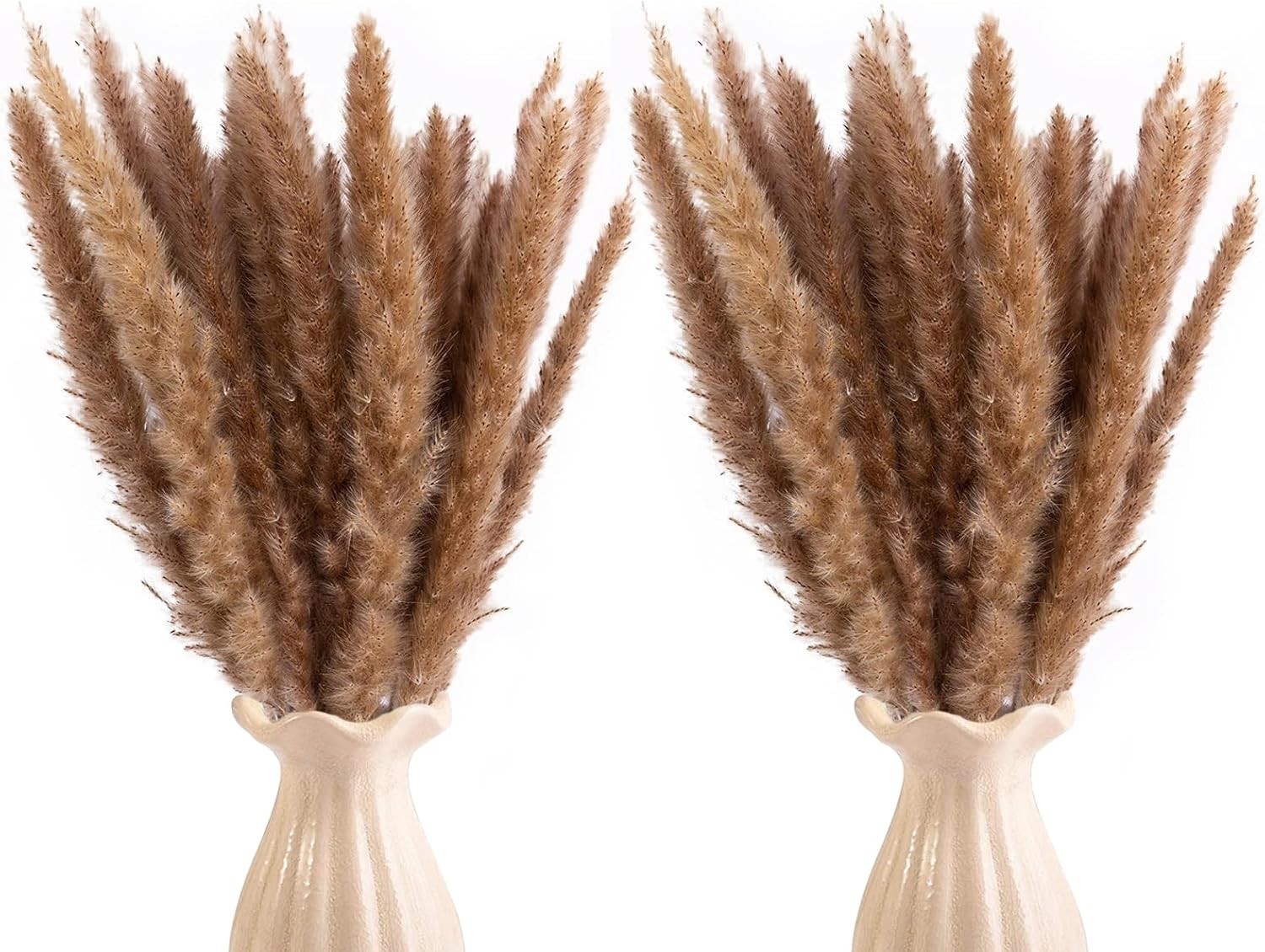 Natural 120pcs Brown Pampas Grass – Timeless Dried Flowers for Weddings & Events
