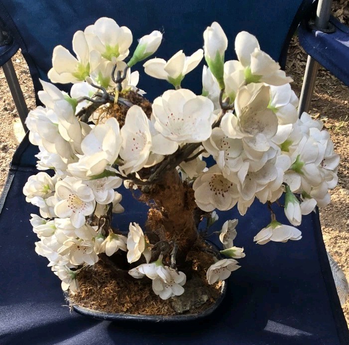 14″ Artificial Bonsai Cherry Blossom Plant in Planter