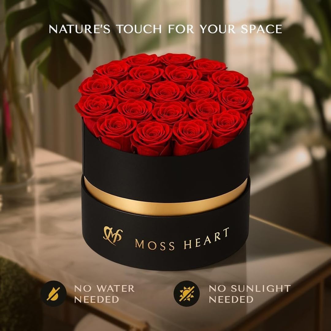 20 Mini Preserved Roses in Round Luxury Gift Box – Lasting Real Roses for Gifts,