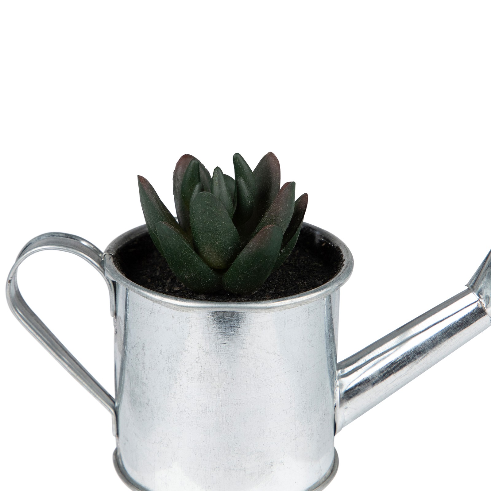 Northlight 4� Tropical Green Mini Artificial Pachyveria Succulent Tin Water Can