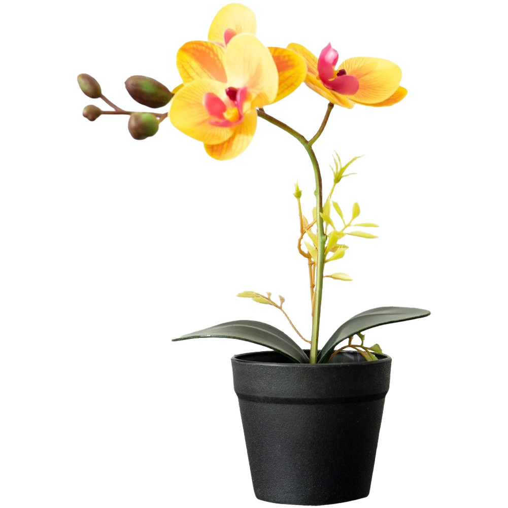 Silk Phalaenopsis Orchid Potted Plant 26cm for Contemporary Home Office