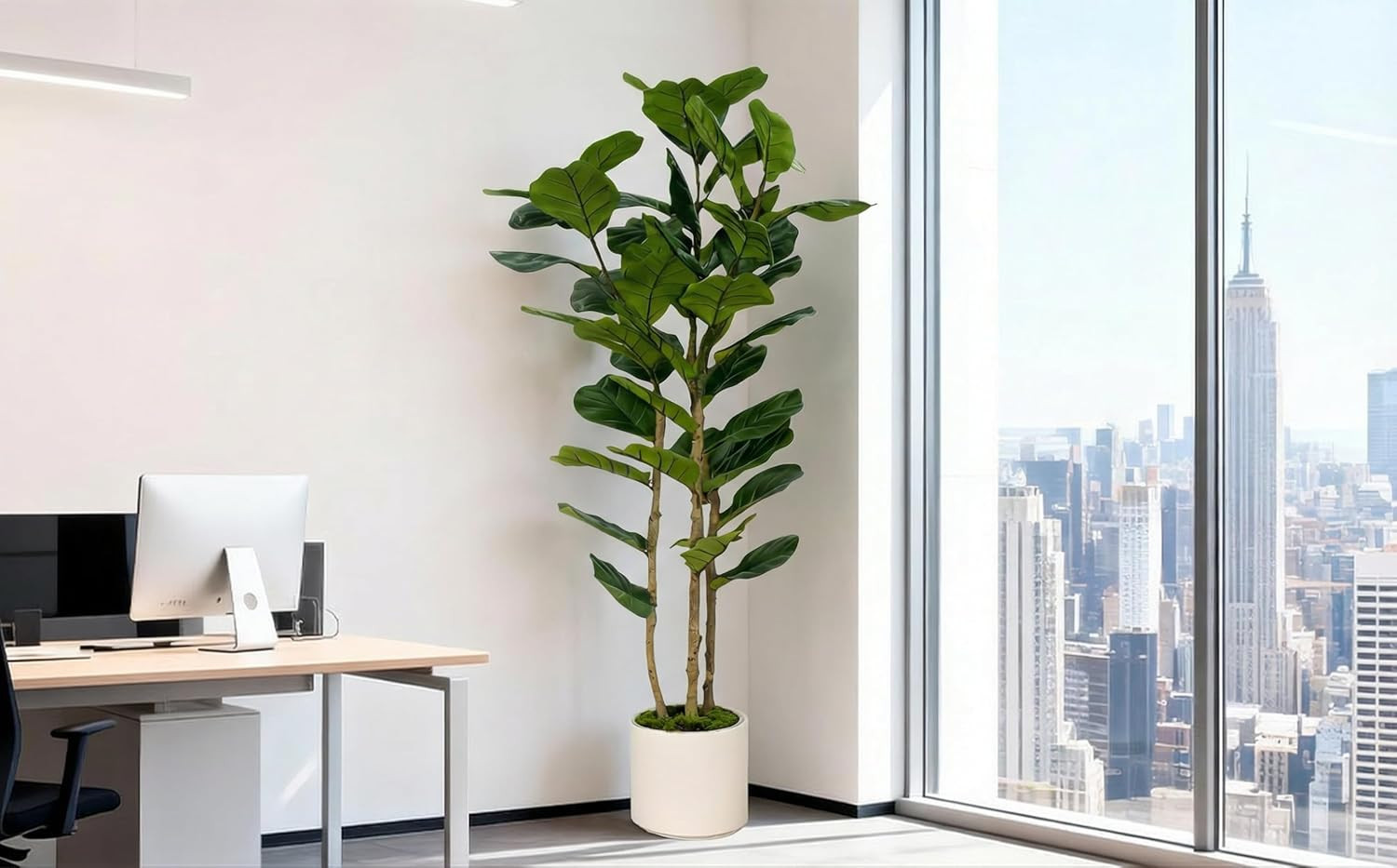 6FT Artificial Fiddle Leaf Fig Tree with White Planter – Faux Indoor Plant