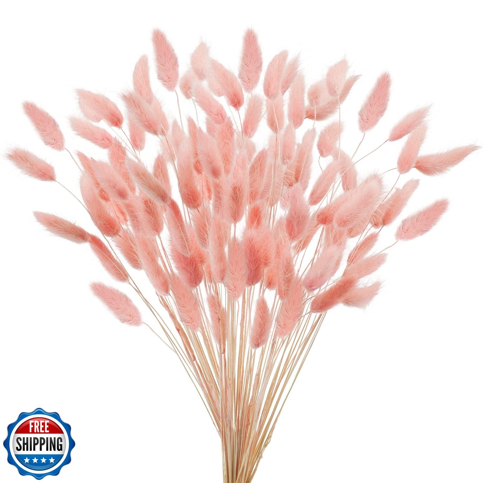 Uieke 17’’ Natural Bunny Tails Dried Flowers, 240 Pcs Dried Lagurus Ovatus, D