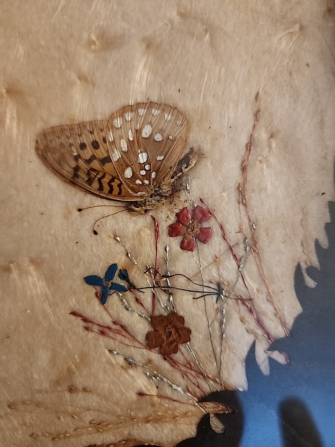 Vintage Butterfly Style Art Glass Tray W/ Stand