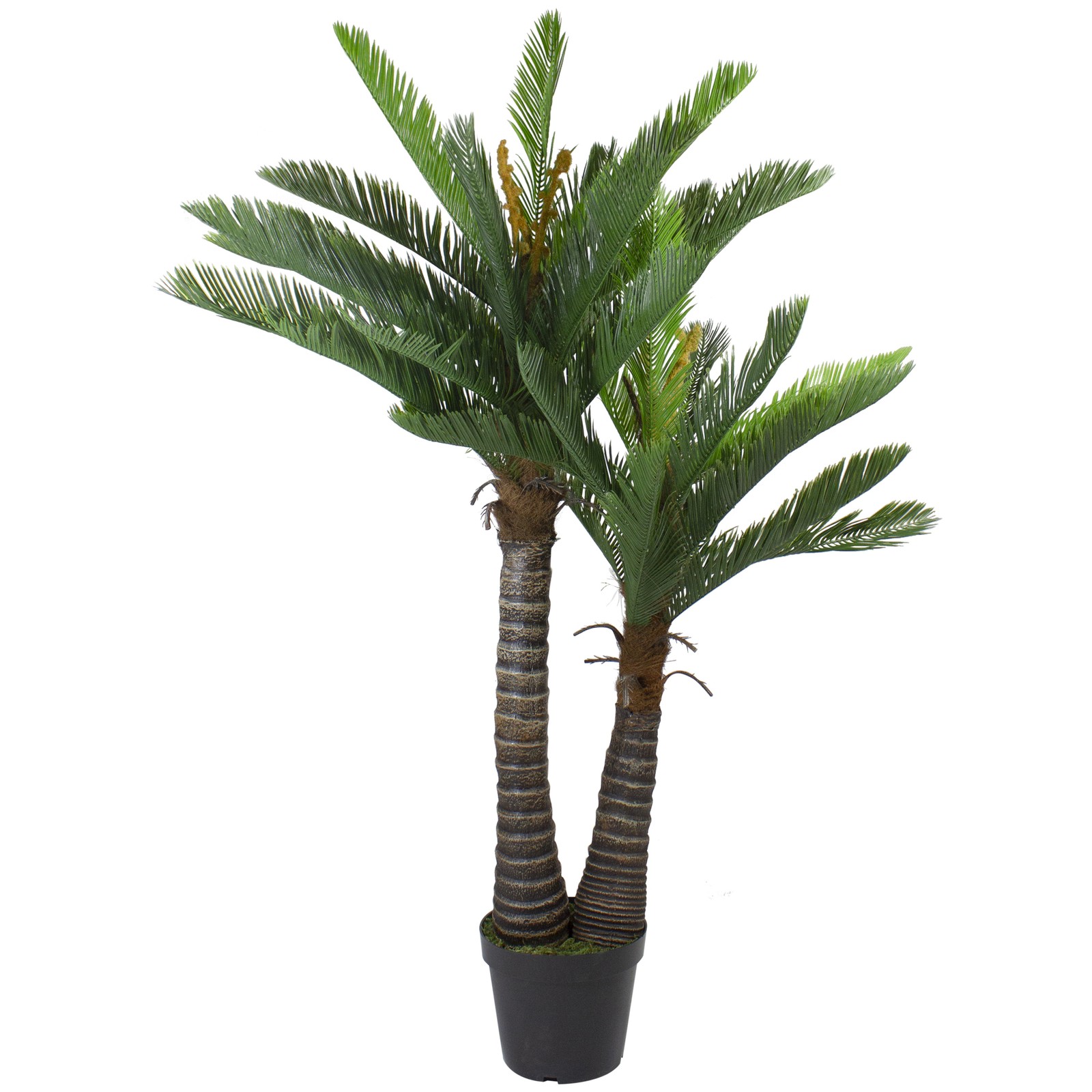 Northlight 5′ Potted Two Tone Green Cycas Artificial Floor Plant