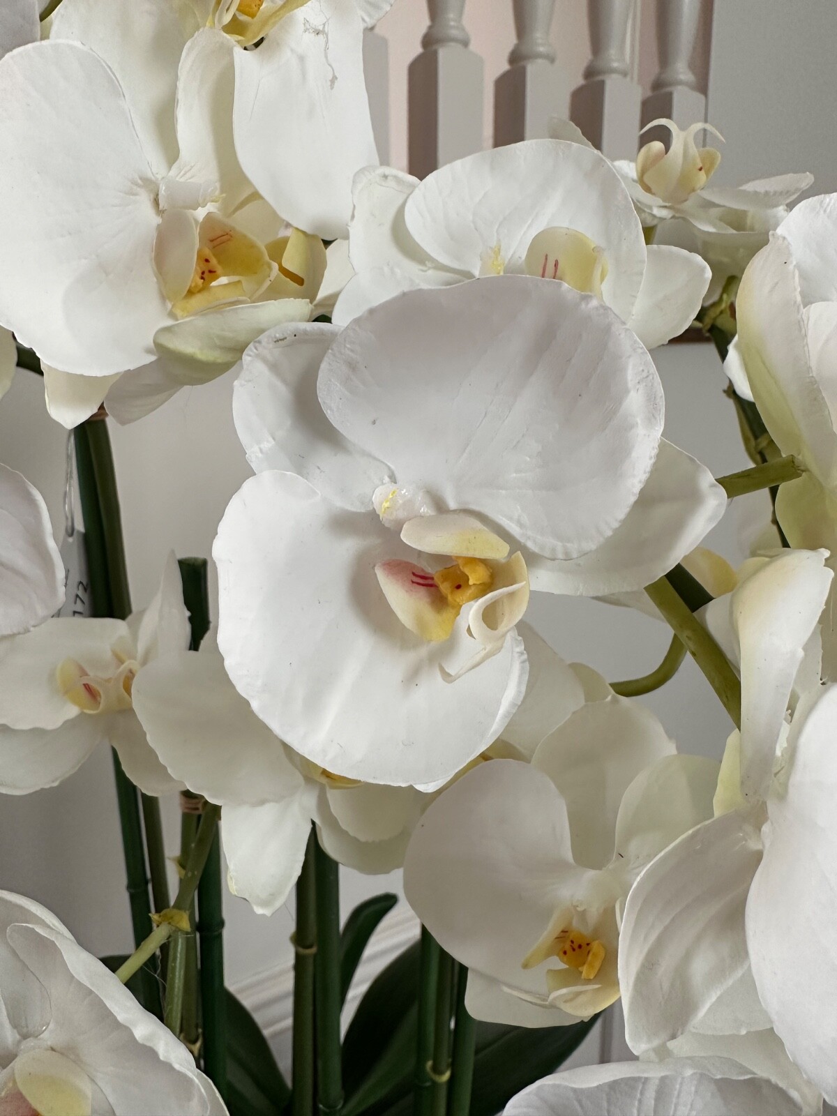 Faux White Orchids in Crackled Glazed Ivory & Blue Ceramic Cache Pot 32″x18″x11″