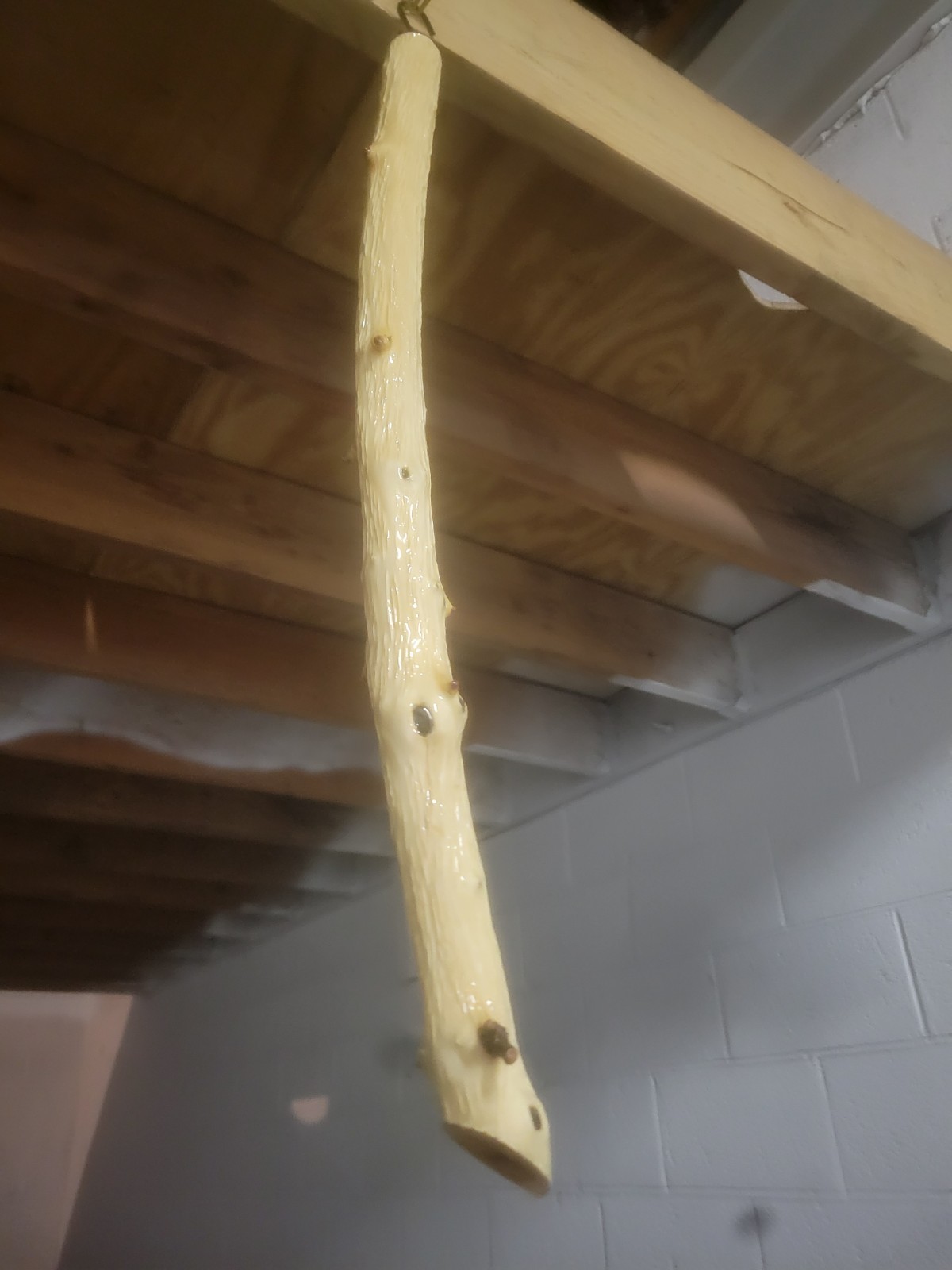 Epoxy Coated Willow Branch