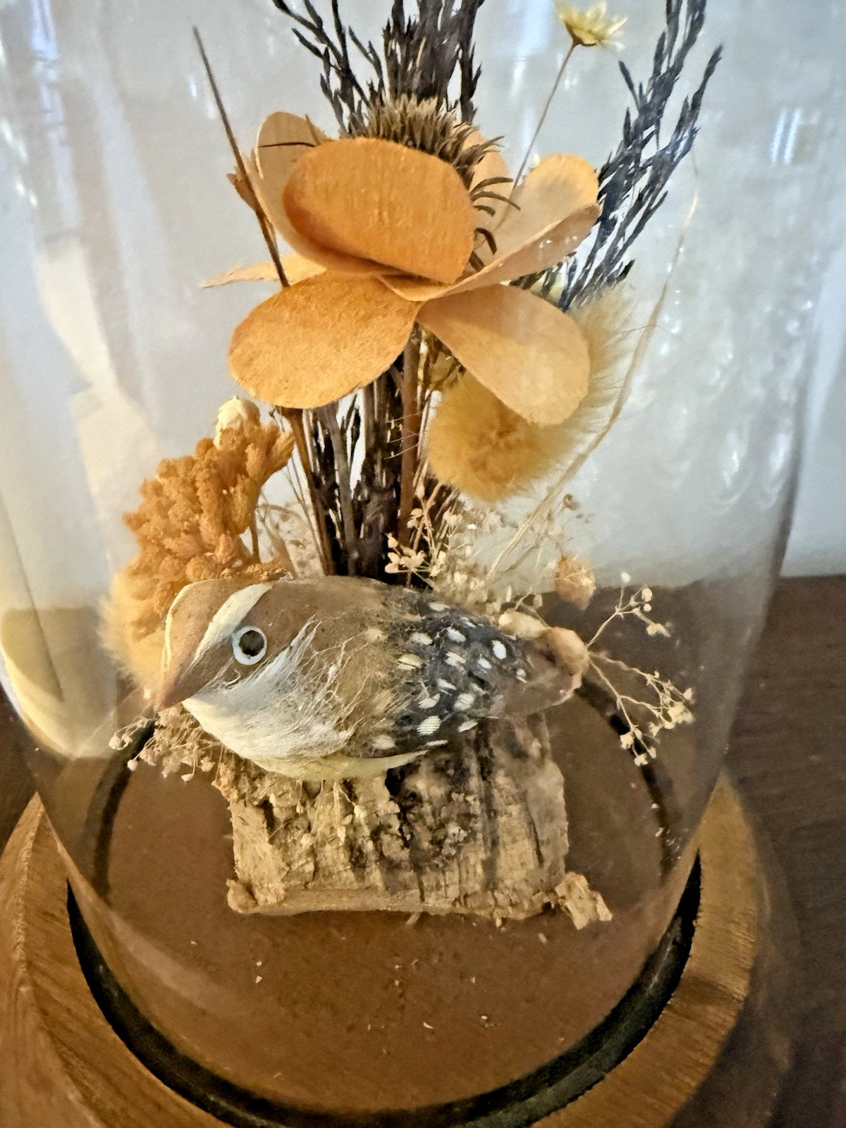 Vintage Hand Made Dried Floral & Bird Diorama / Terrarium Glass Dome Display