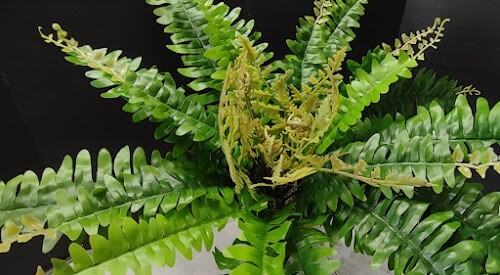 Artificial Boston Fern Silk Flower Arrangements pbf433