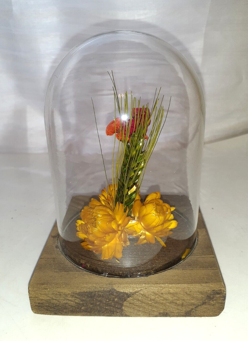 Leonard Creations Dried Cloched Flower Bouquet On Wood Base