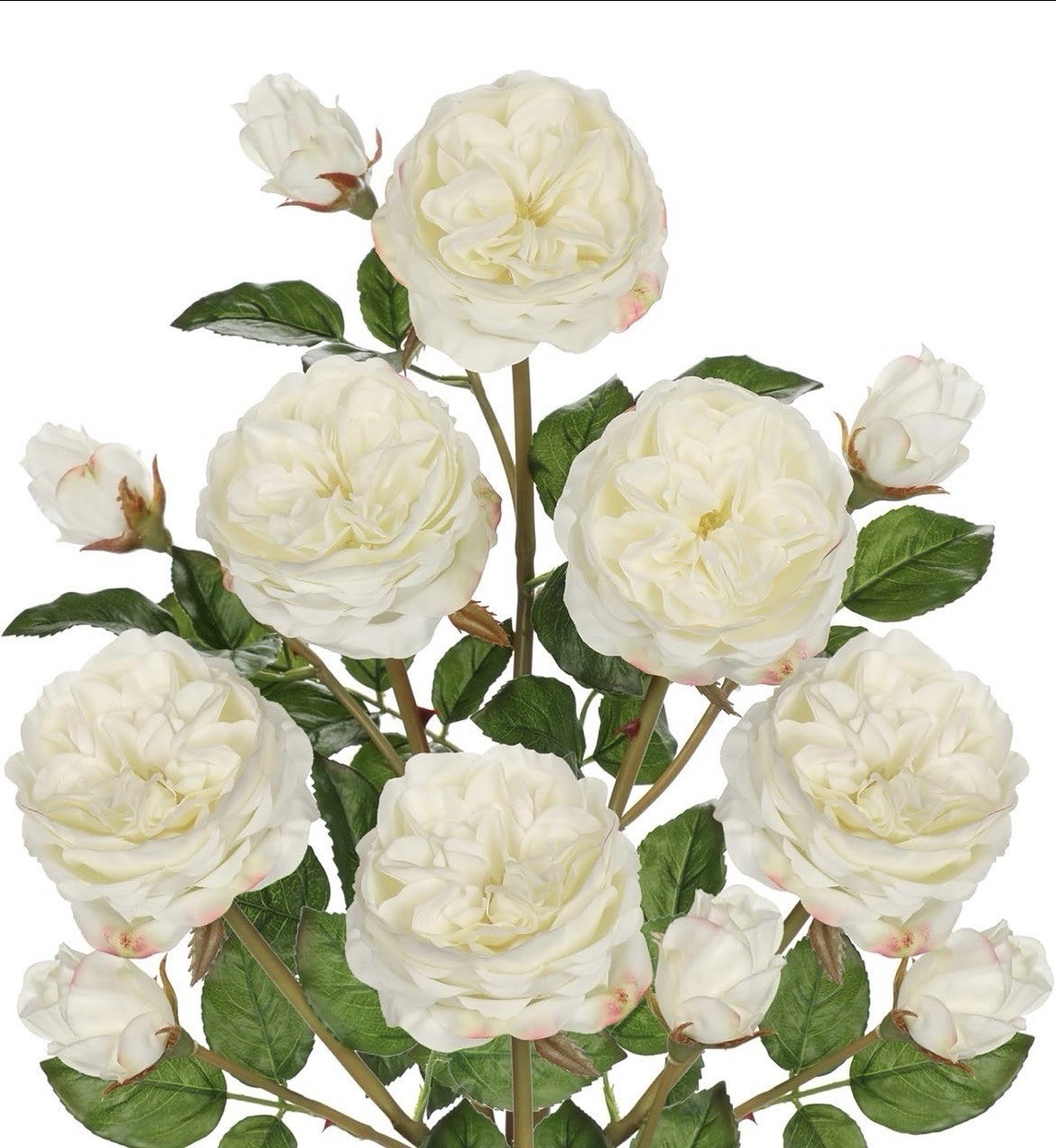 Real Touch Artificial Roses (Set of 6) – 23.6″ Long Stem White Garden Rose
