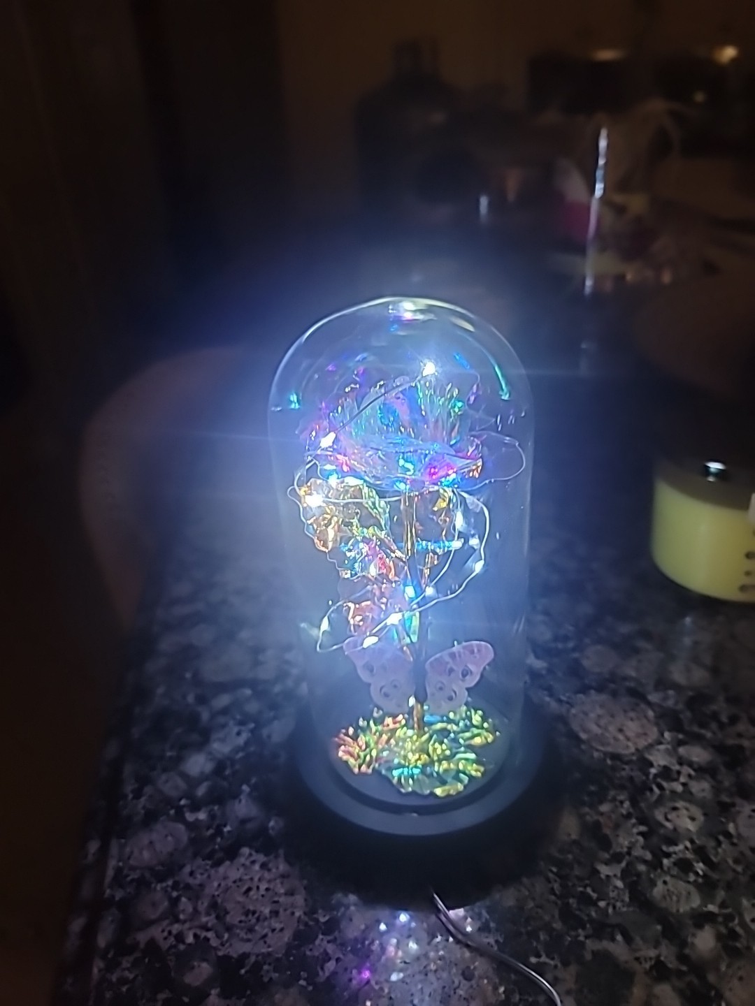 Modern Expressions Light-Up Dome Rose Butterfly Flower LED Walgreens 2024 NWT