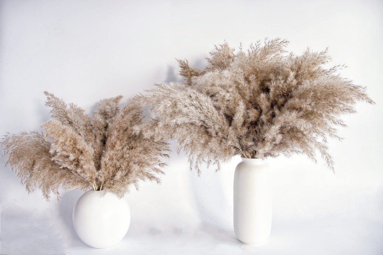 Pampas Grass Decor, Natural Dry Pampas Grass Small, Short Pampass Bulk for Fa…