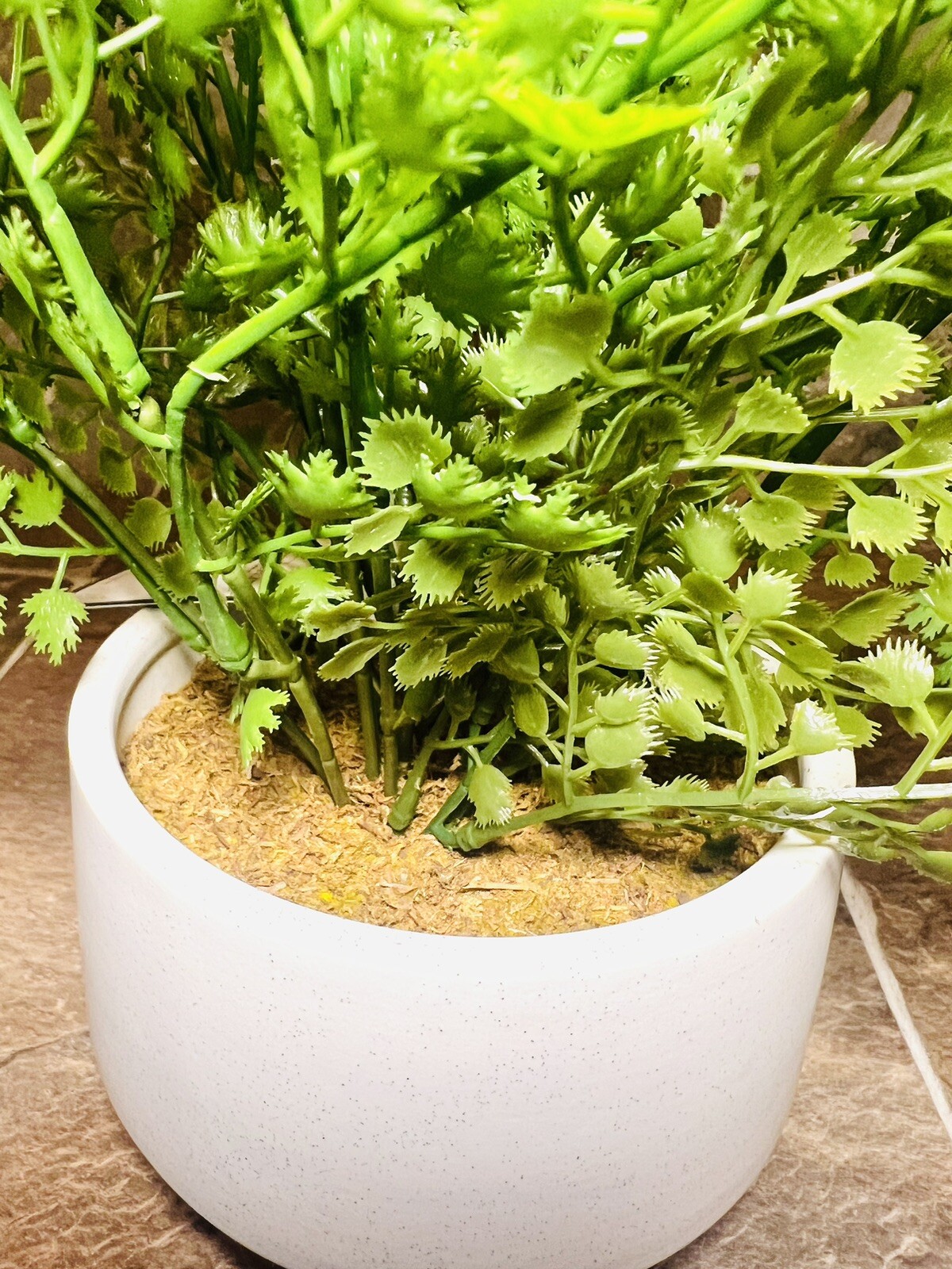 Threshold 14” Faux Fern Modern Ceramic Pot Artificial Arrangement – New