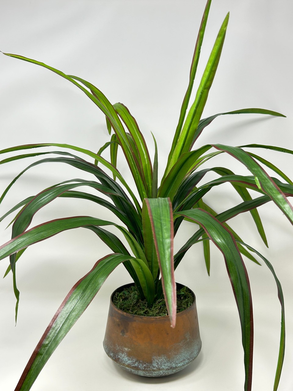20″ Lg Artificial Green-Red YUCCA SWORD Fern faux Silk plant in Copper Pot