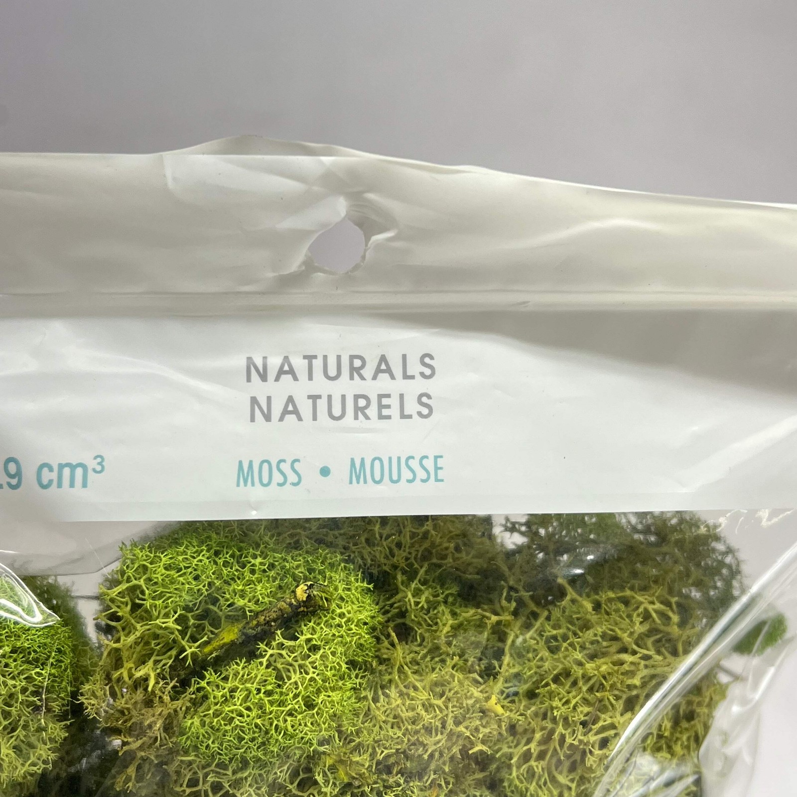 ASHLAND (6 PACK, 108.5 In³ Each) Naturals Reindeer Preserved Moss Green 284153