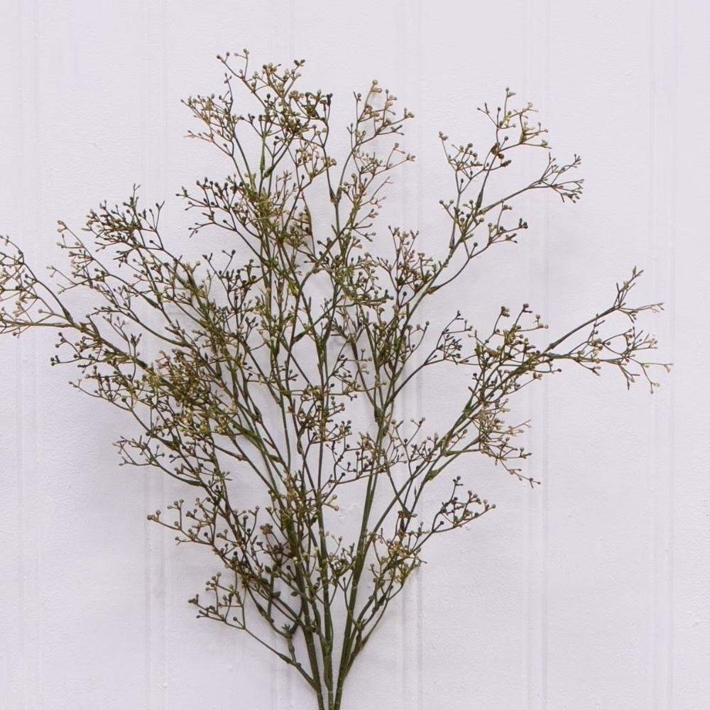 Indoor Dried Rice Stems Bundle Natural Rustic Home Decor Set of 3