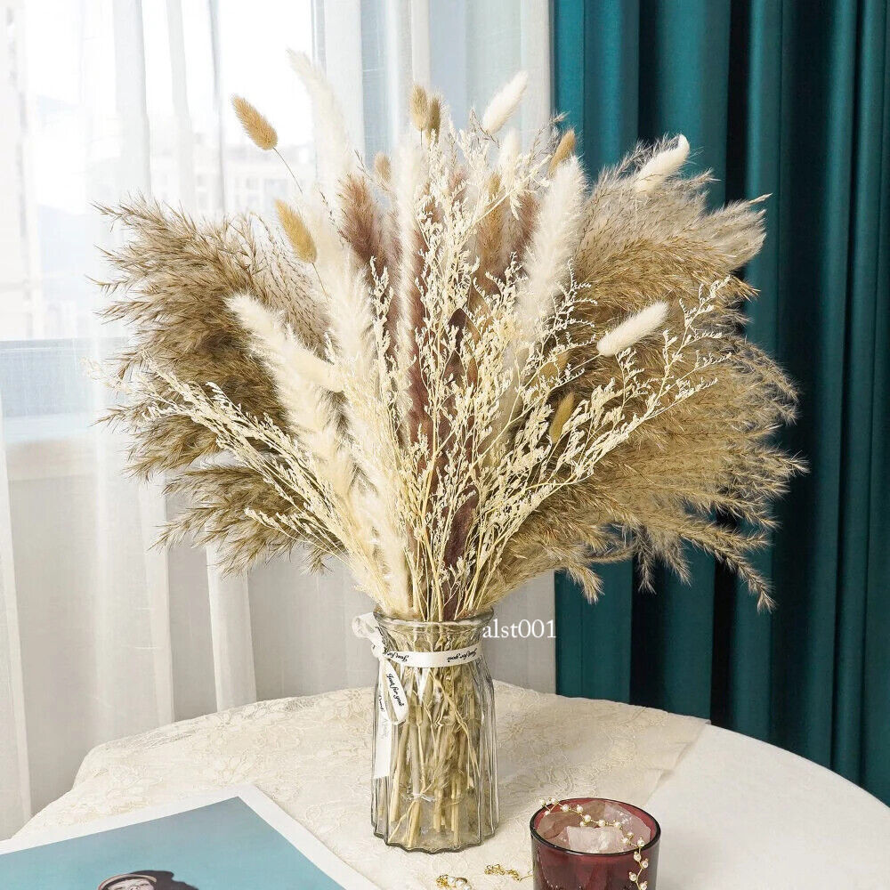 Grass Decor Home Decor Bouquet Natural Fluffy Dried Flowers for Wedding Floral