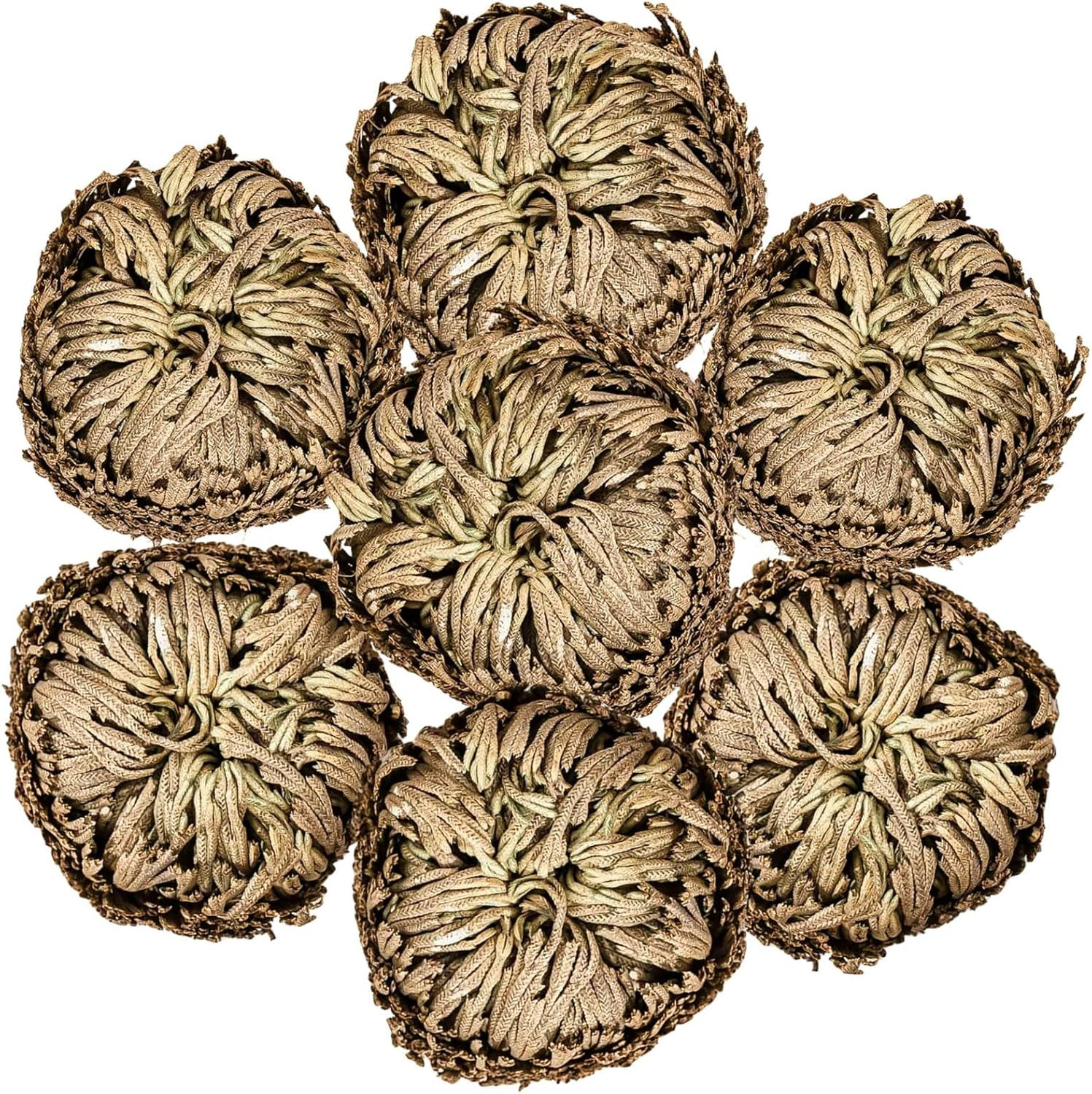 7 Pack Rose of Jericho Dried Plants – Rosa de Jerico Original, Dried Fern Like S