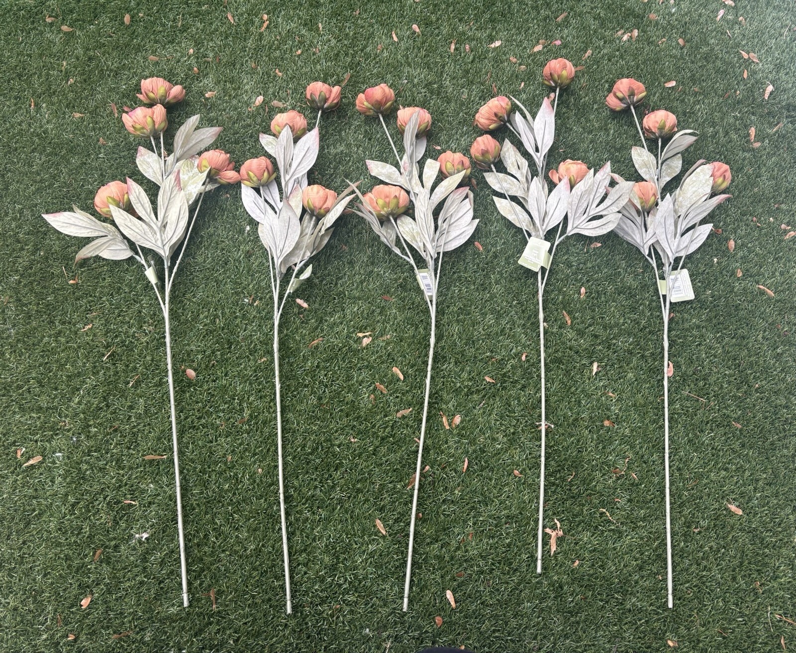 Ashland Michaels Tan Dried Peony Stems Set of 4 Decor TikTok Viral Flowers New