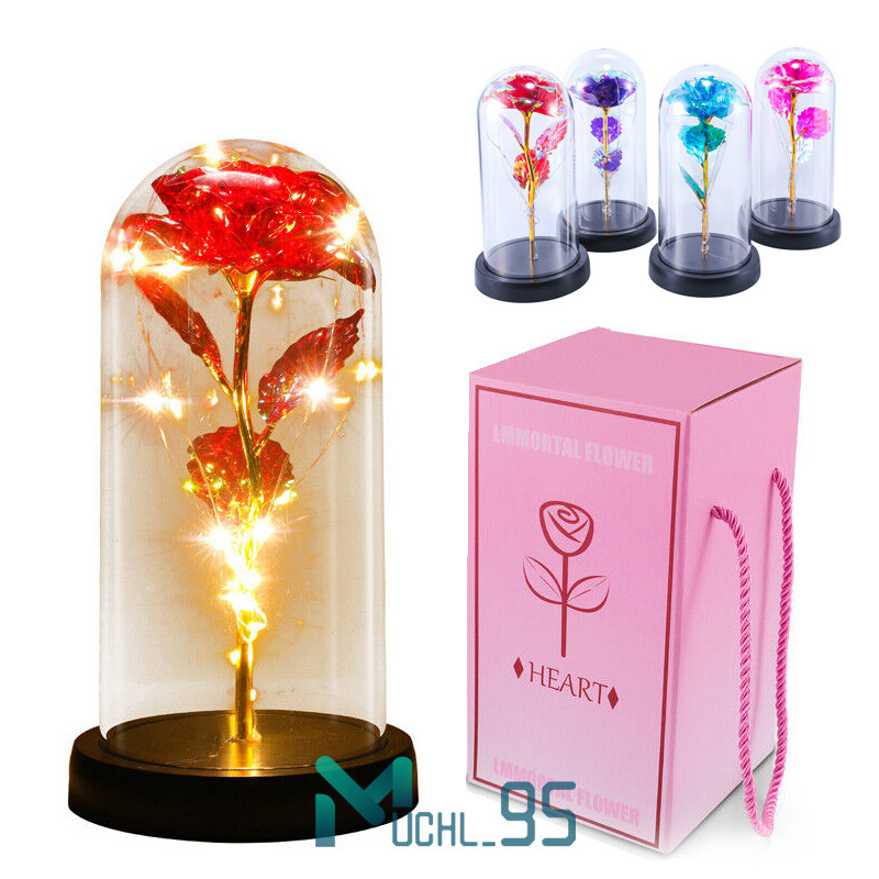 Rose Flower In Glass Gifts For Women Wife Her Valentine Girlfriend Birthday Gift