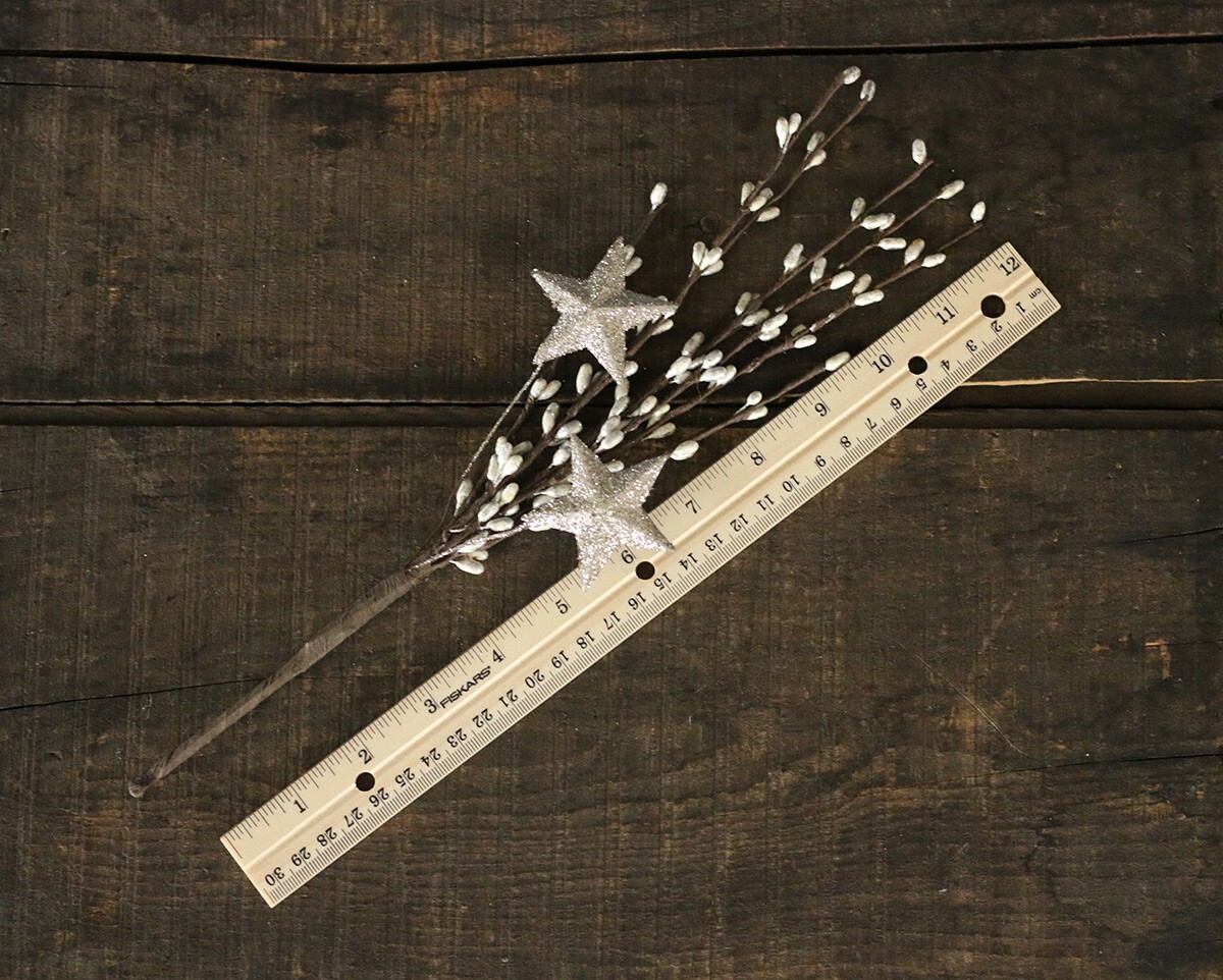 Pip Berry Floral Picks (Set/2) Platinum Silver with Glittered Stars 12 inch