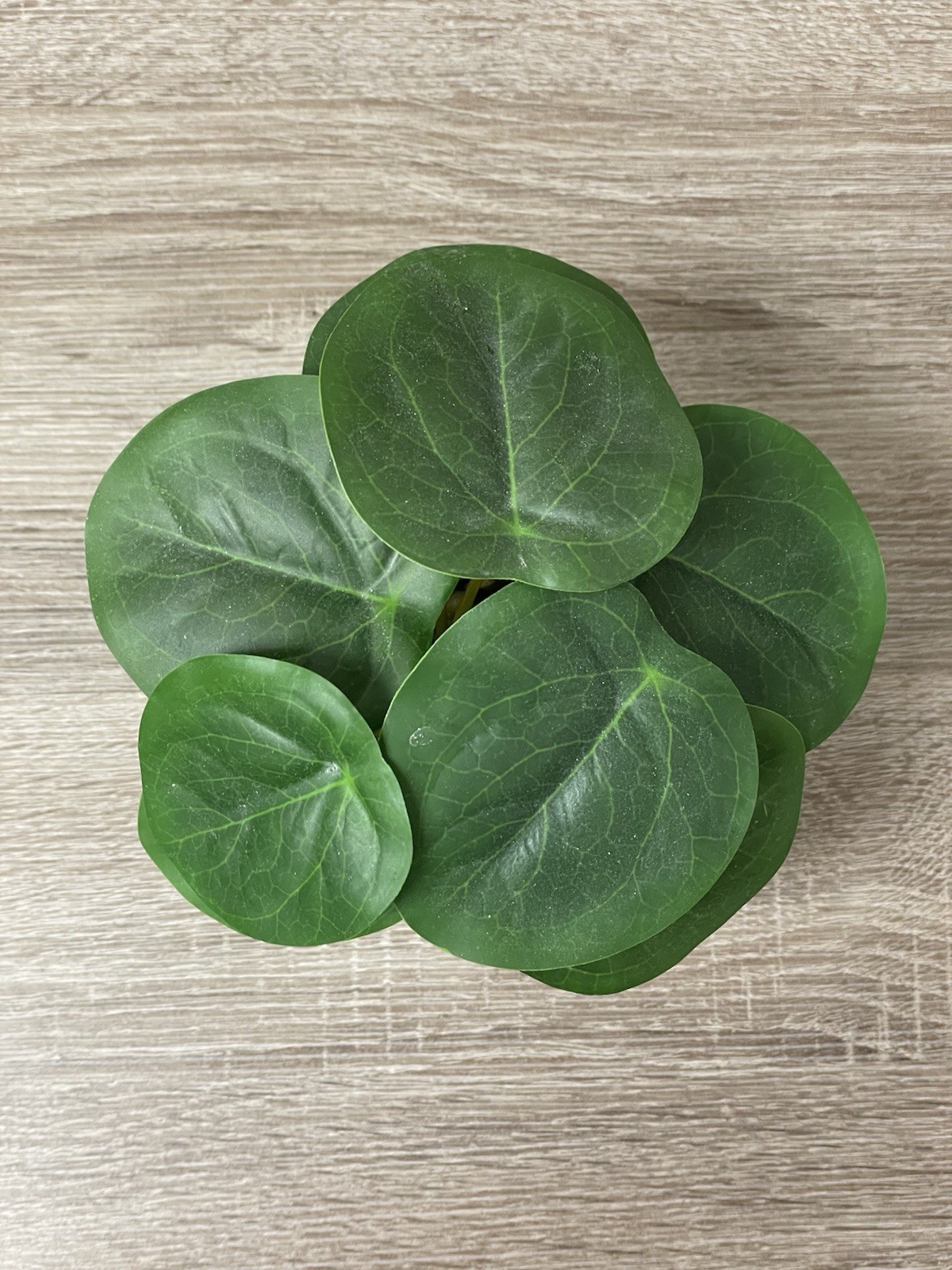 Flora Bunda Artificial Plant in 3 in Matte White Geometric Ceramic Pot