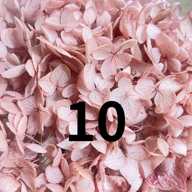 50g Bulk Dried Artificial Flowers for Gift Photograph Props Party Wedding Decor