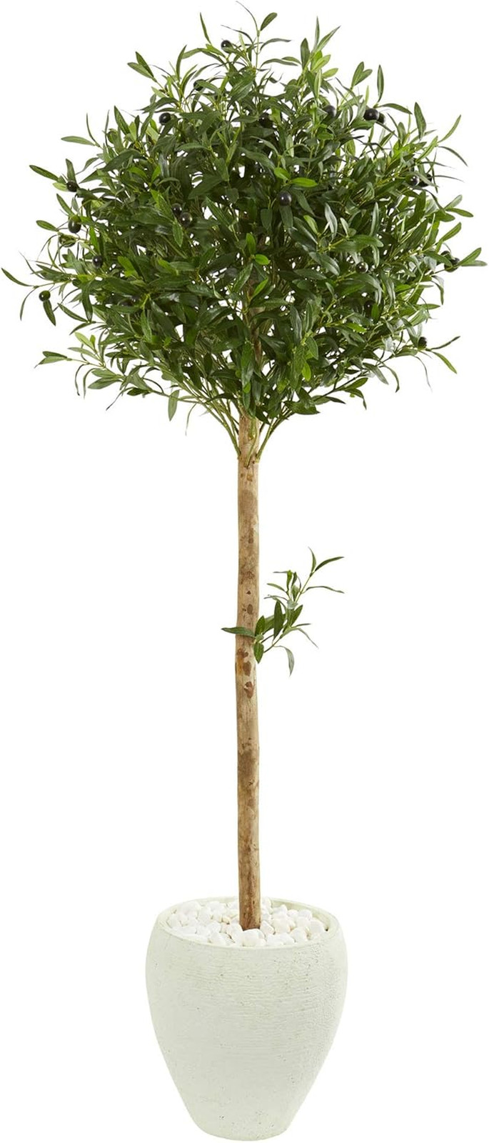 5Ft Olive Topiary Tree in Elegant White Planter – Perfect Home Decor