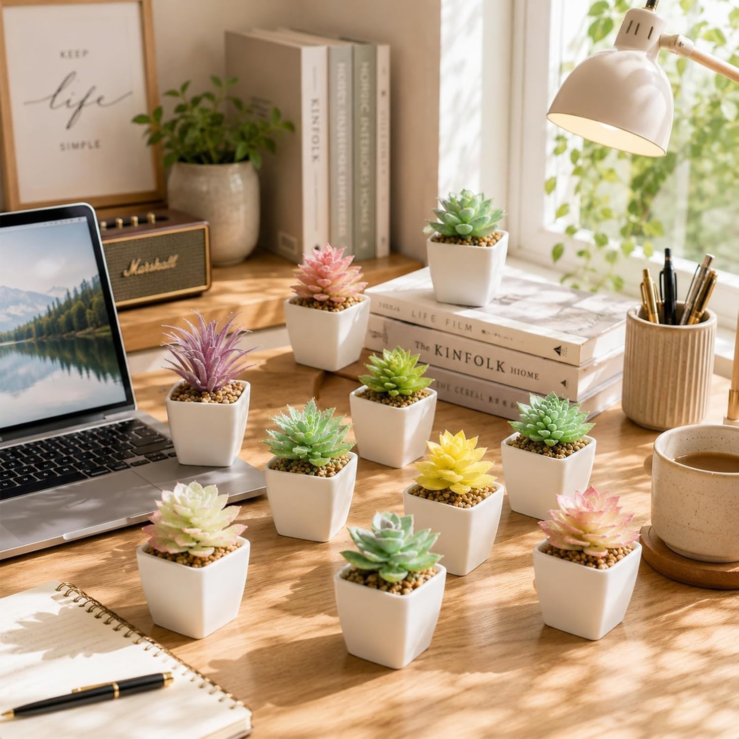 Mini Fake Succulents in Pots, Set of 24 for Office and Home