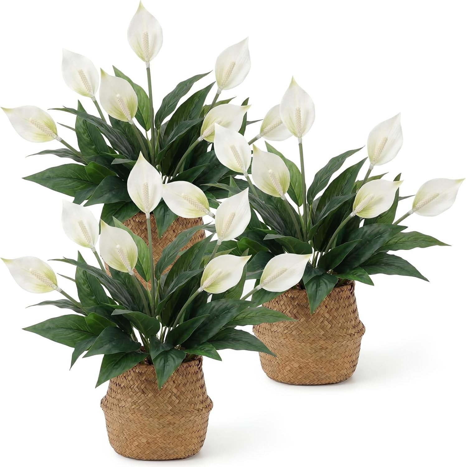 6 Pcs Faux Peace Lily Plants with Realistic Leaves for Home Decor & Centerpieces