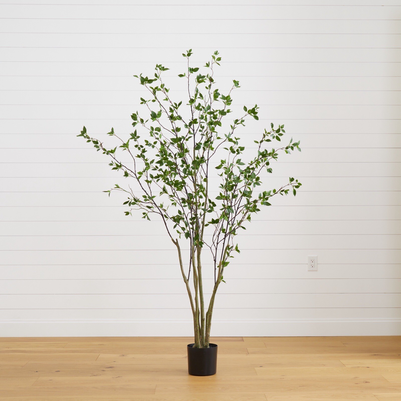 7’ Artificial Citrus Minimalist Tree Home Decor. Retail $329