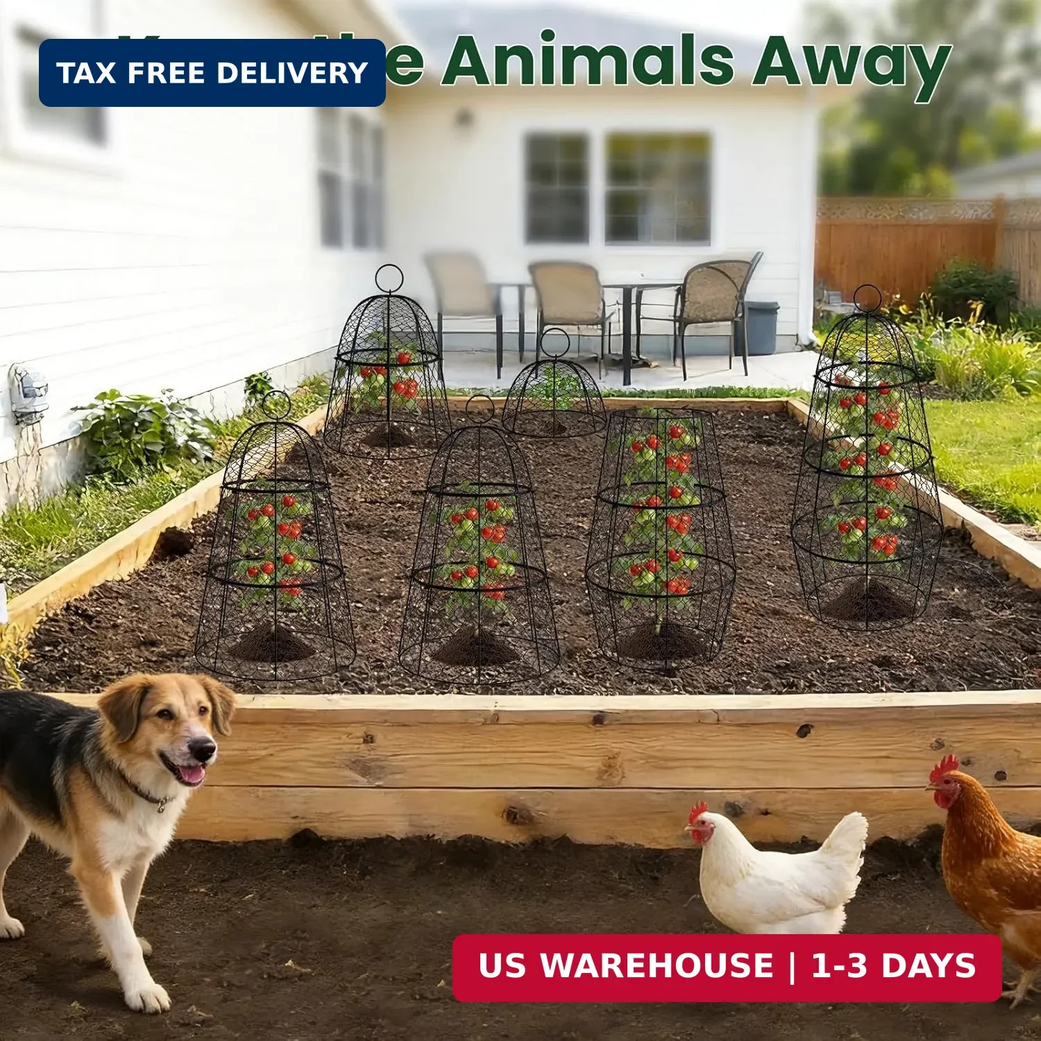6 Pack Garden Cloche Plant Protectors from Animals, Adjustable 3-Tier Chicken Wi