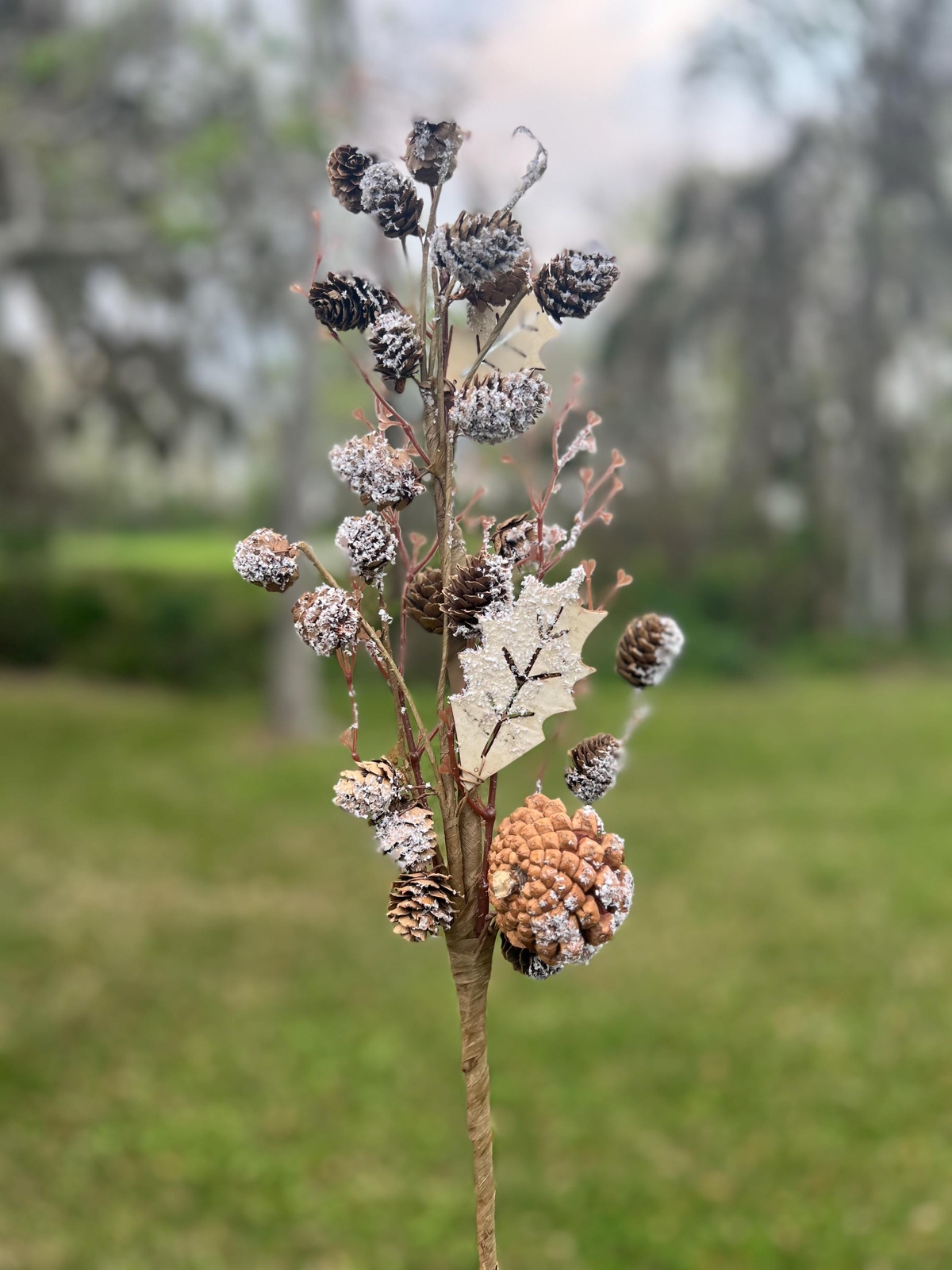 Regency Christmas Snow Covered Frosted Birch Pinecone Stem Branch Pick Crafts