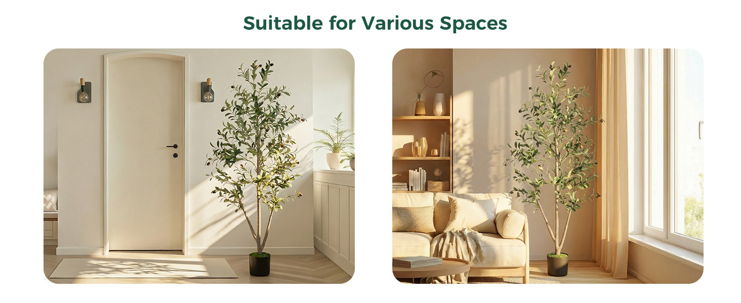 Olive Trees Artificial Indoor, 6FT Tall Faux Olive Tree with Moss and Planter,