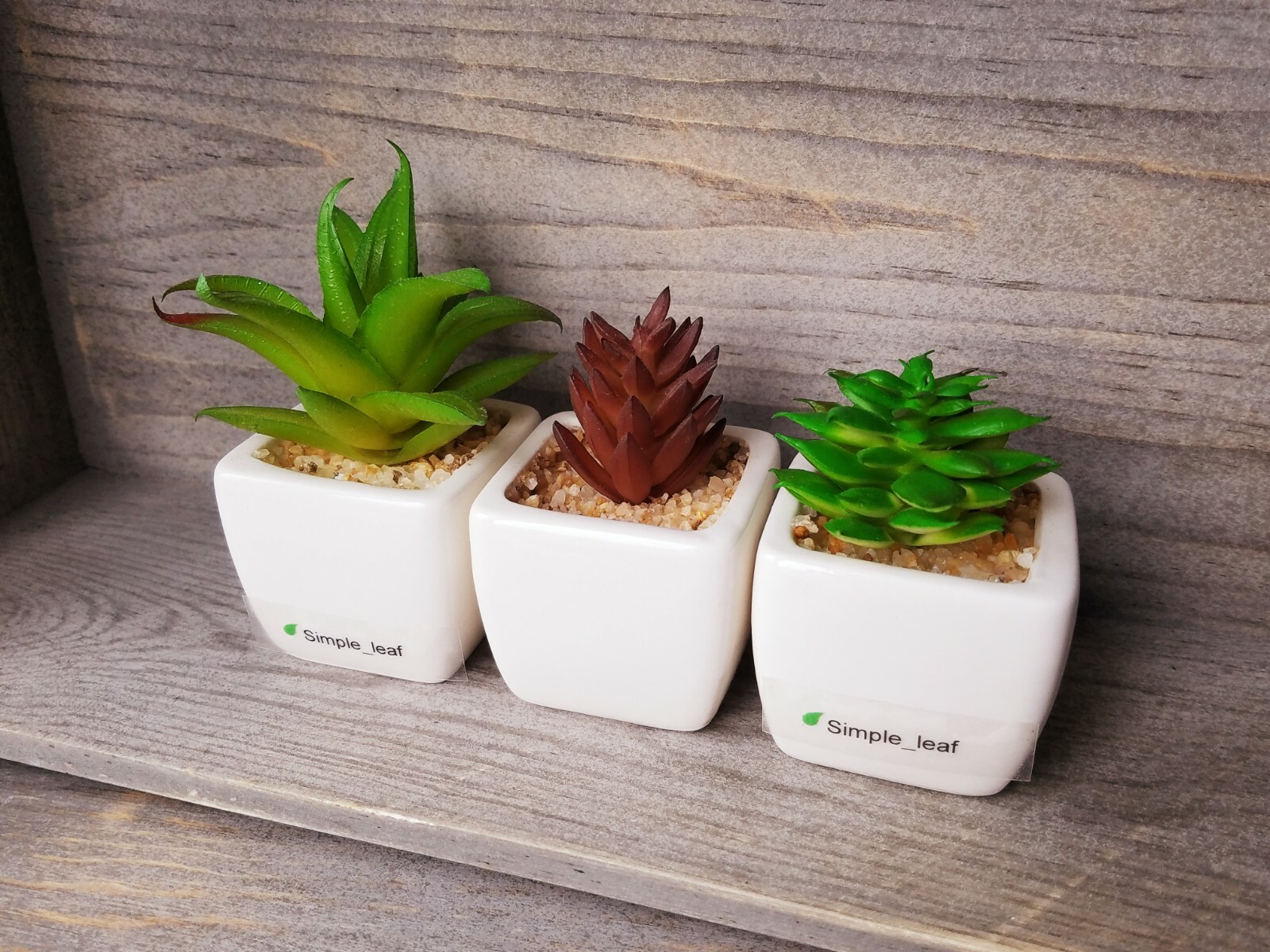 Decor Set – 3 Potted Artificial Succulent, Dried Grass Bouquet in Glass Bottle