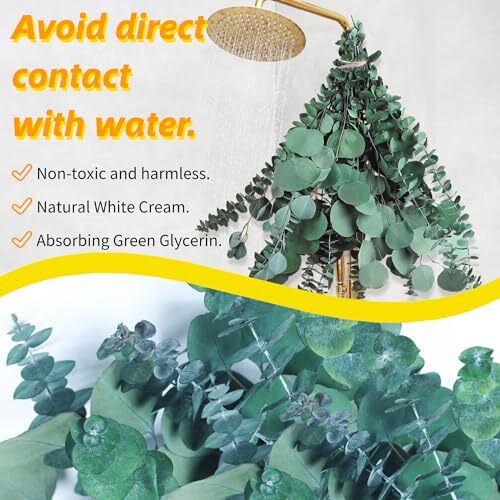 Pcs Large Dried Eucalyptus & Silver Dollar Leaves Bundle – 100% Natural Real 12