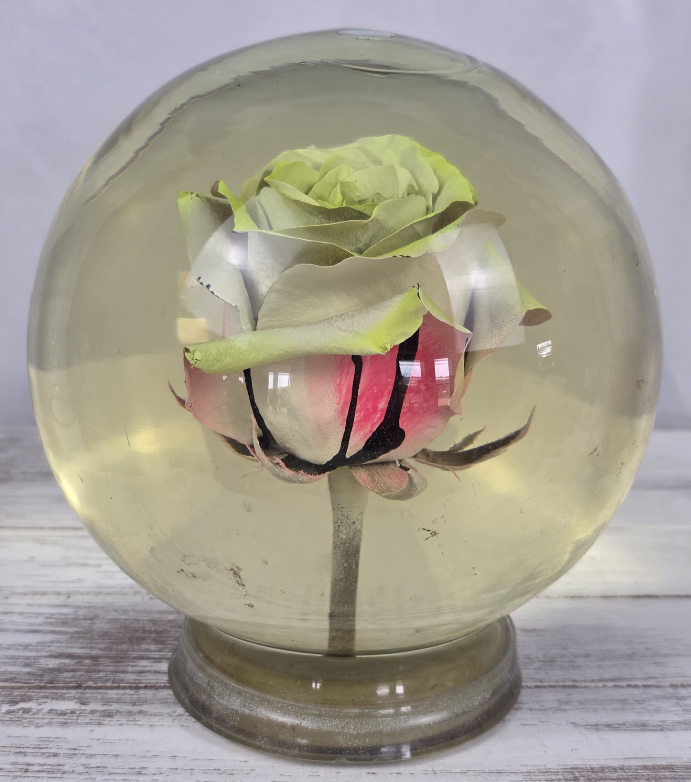Vintage Forever Yellow/Pink Rose In Glass Ball Water Dome Globe Large 6.5″