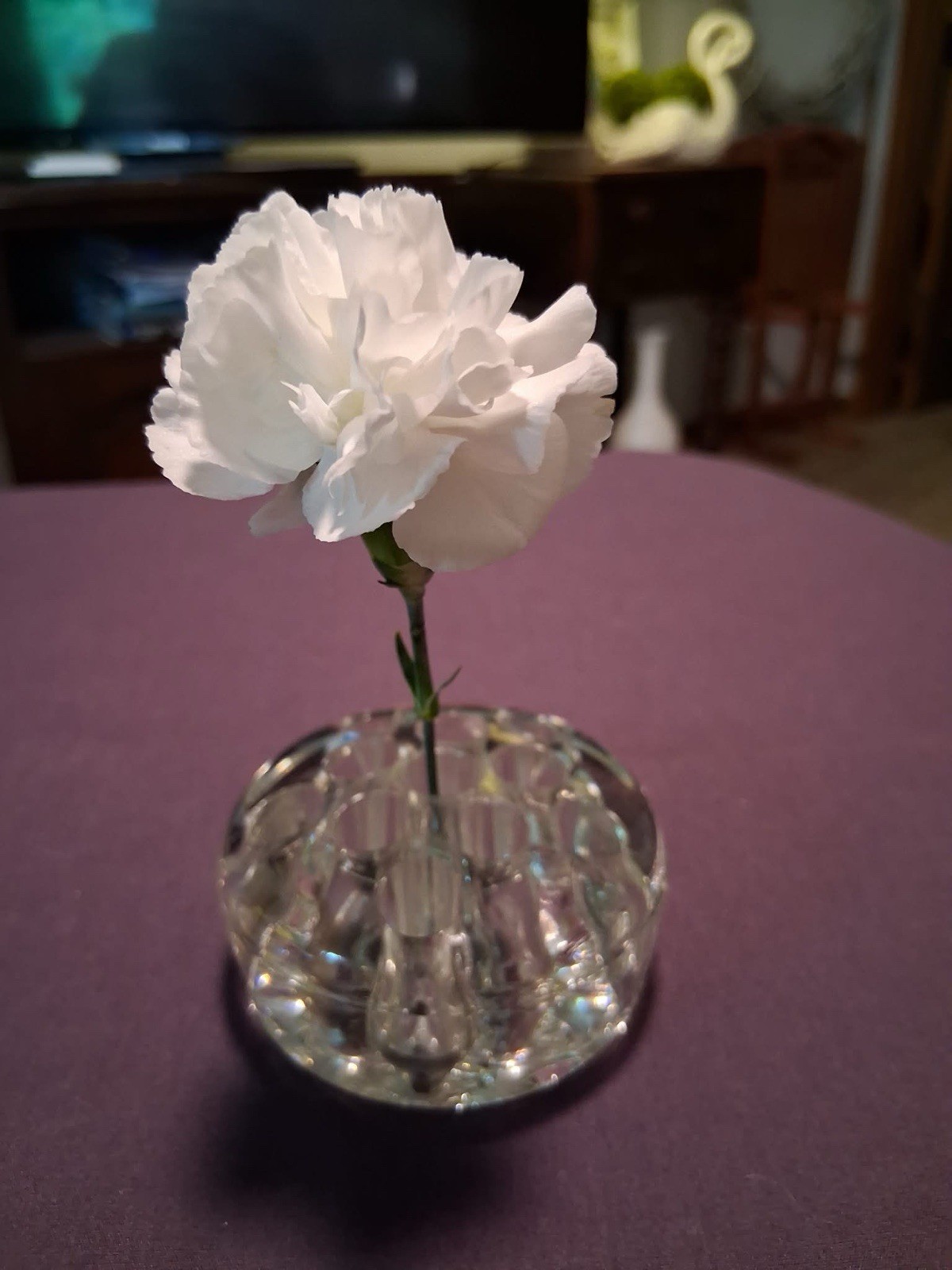 Clear Glass Flower Frog Multi-Hole Floral Arranger 3.5 in W x 1.5 in H