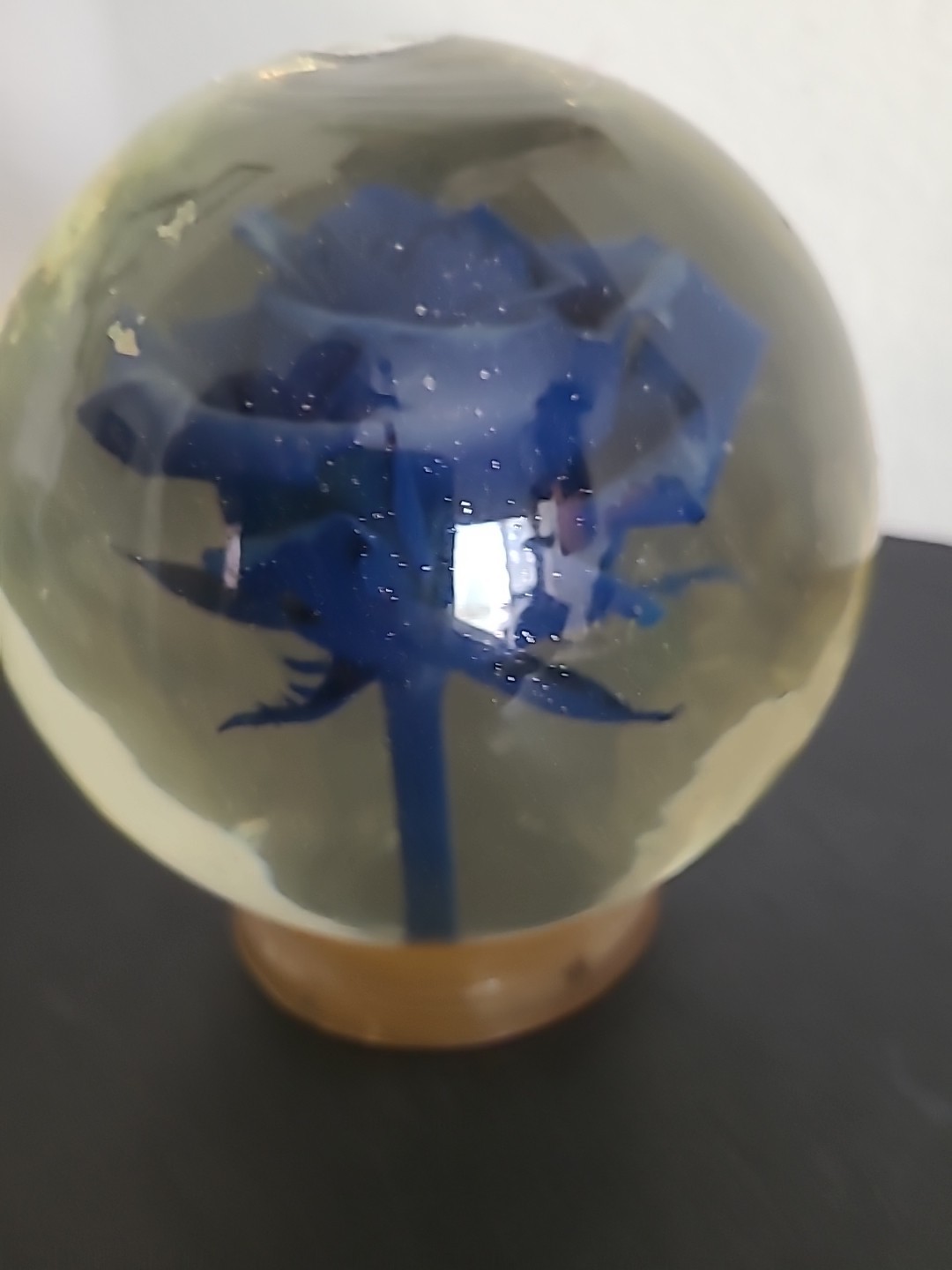 Vintage Blue Crimp Rose Pedestal Preserved In Glass and Liquid Real 4LBS