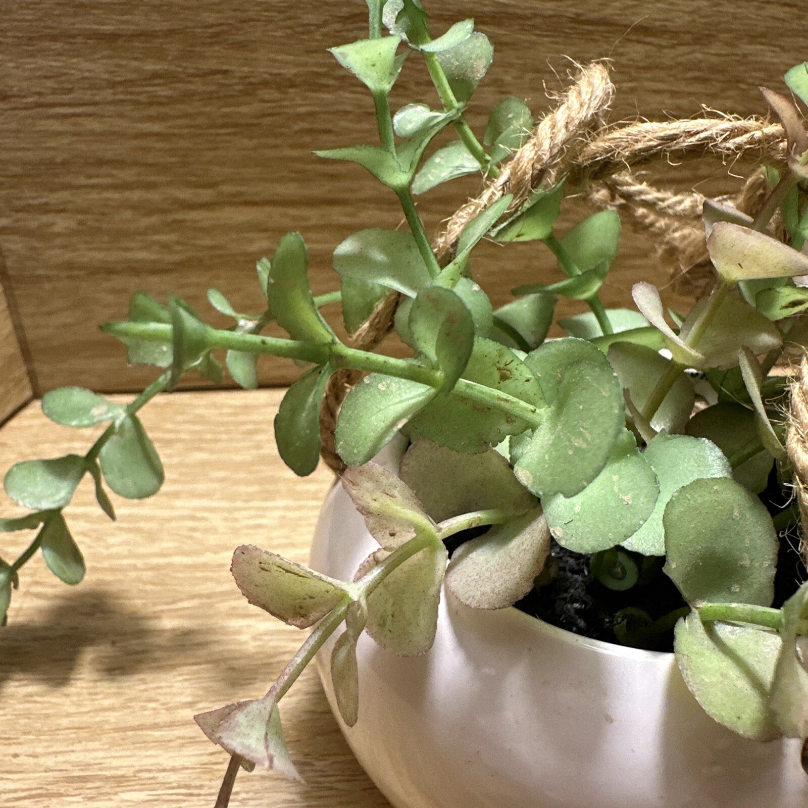 Artificial Faux Plant Hanging White Pot Succulent Green Leaf decor Small Planter