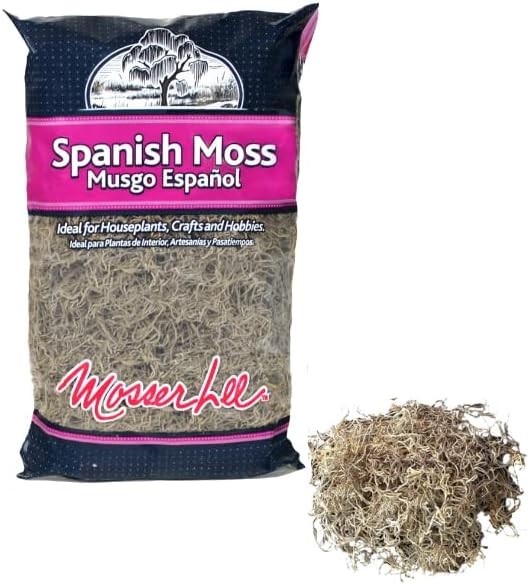 Natural Spanish Moss for Decor, Crafts & Plant Care